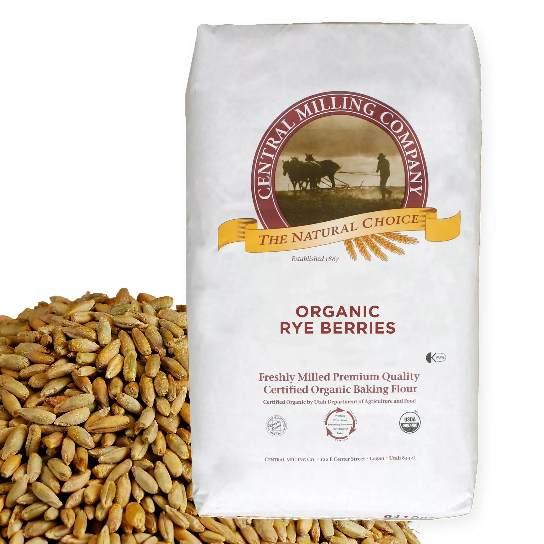 100-organic-rye-berries-25-lbs 100% Organic Rye Berries - 25 Lbs