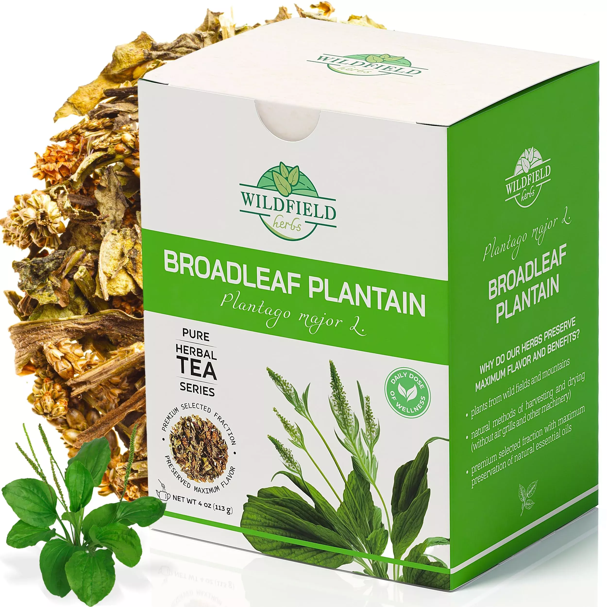 4-oz-plantain-leaf-herb-tea-dried-plaintains-plantago-major-113-g 4 Oz. Plantain Leaf Herb Tea Dried Plaintains (Plantago Major) - 113 G