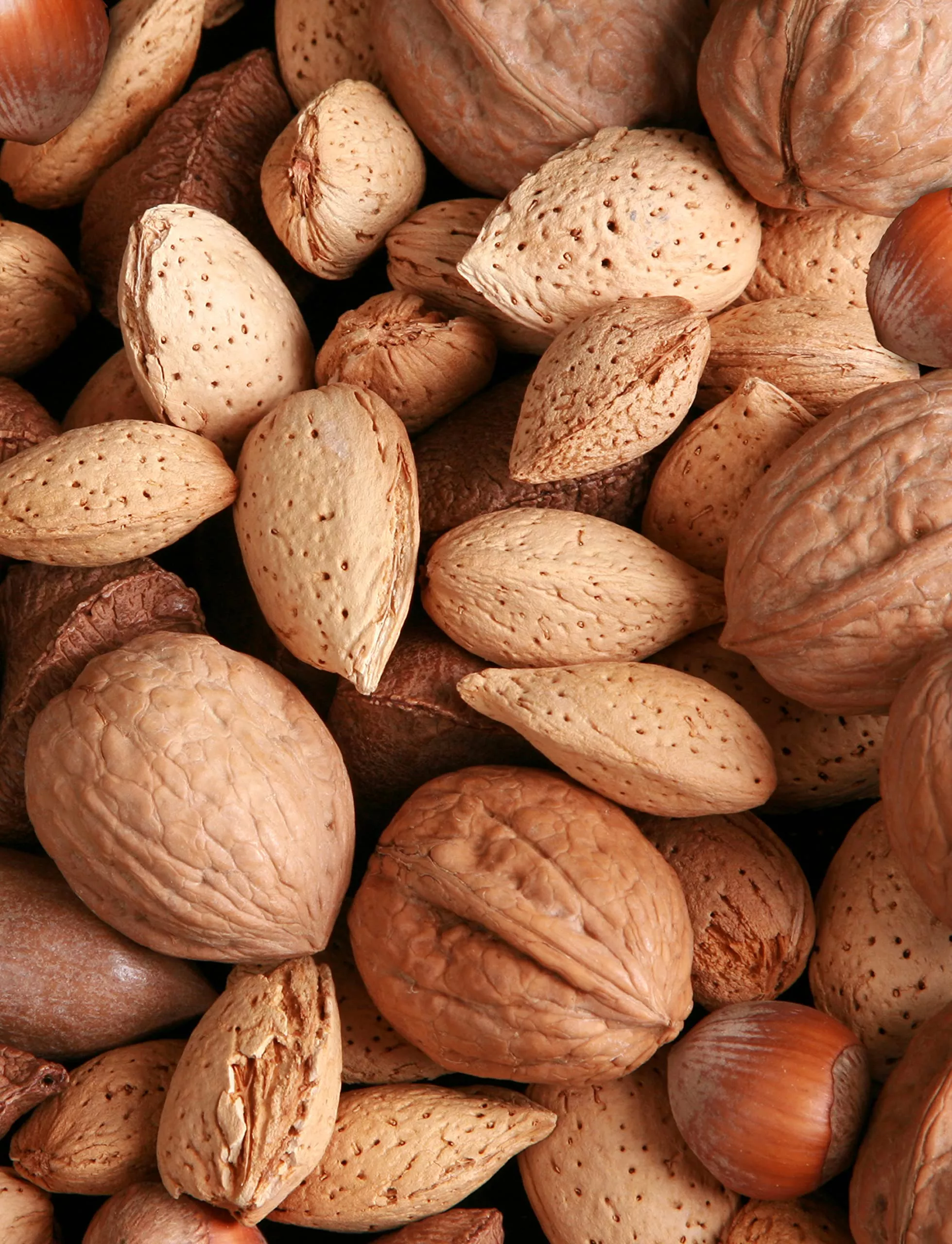 anna-sarah-premium-mixed-nuts-in-shell-california-jumbo-chandler-walnuts-georgia Anna And Sarah, Premium Mixed Nuts In Shell, California Jumbo Chandler Walnuts, Georgia Extra Large Pecans, California Almonds,