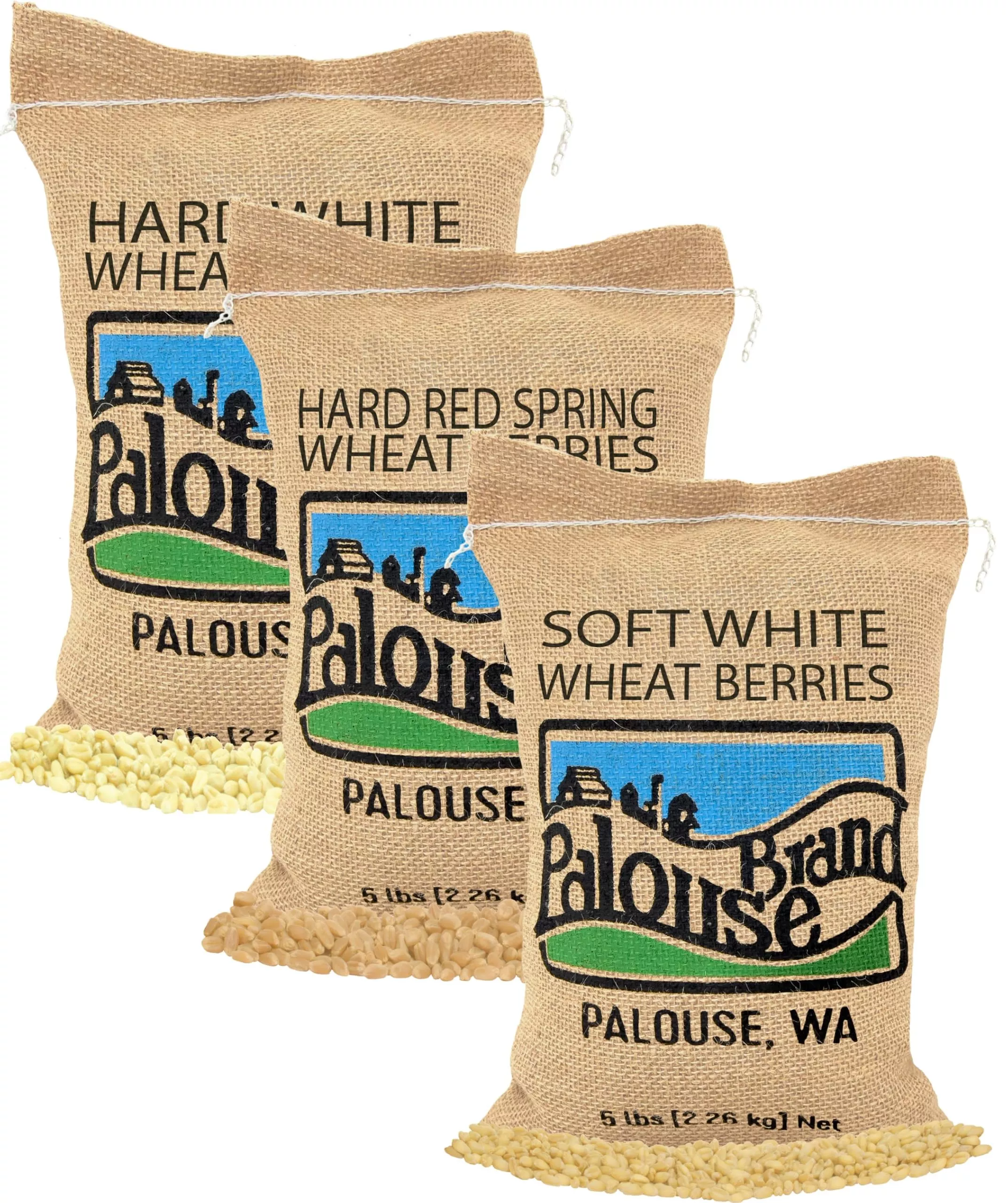 hard-white-wheat Hard White Wheat