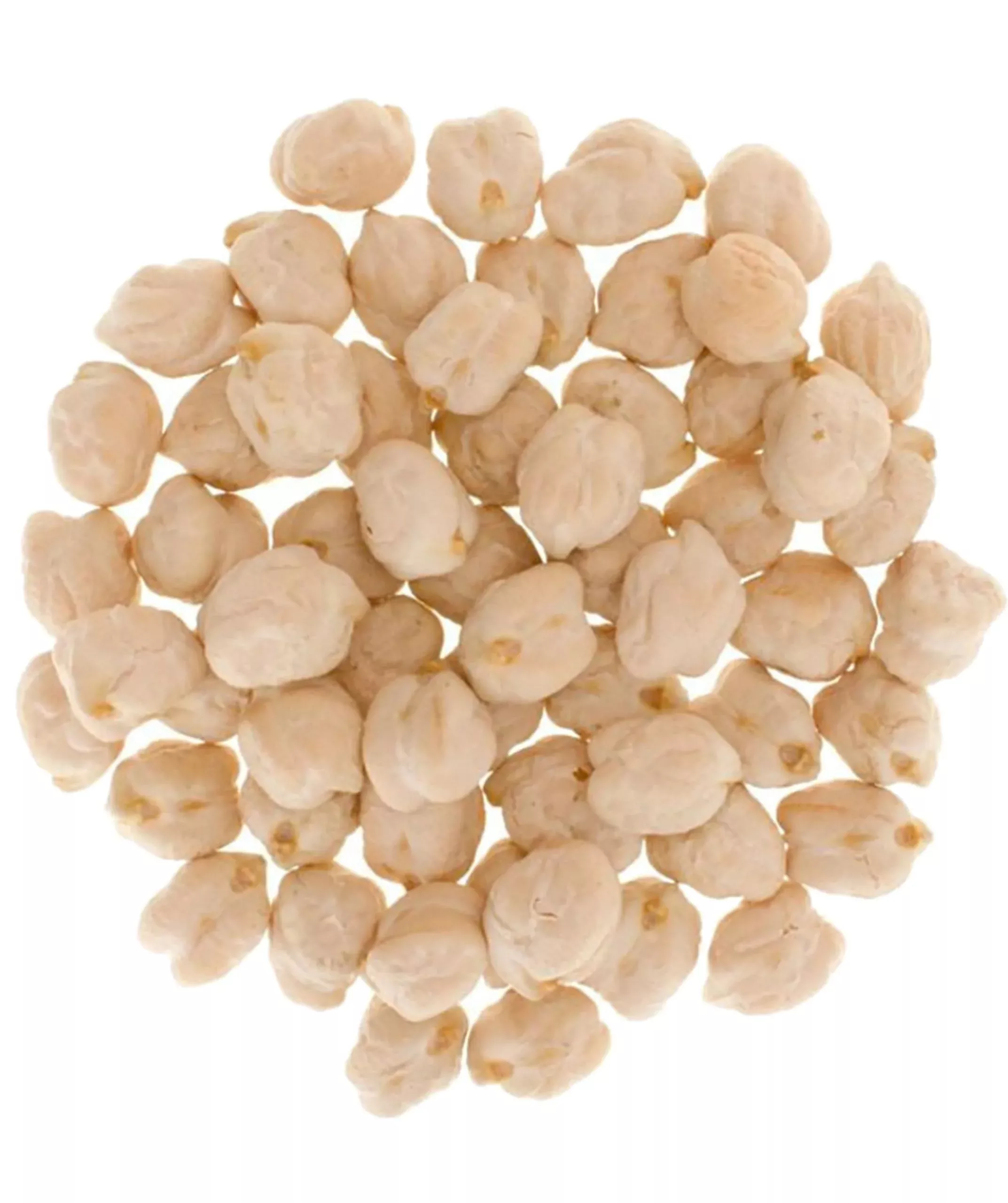 mader-family-farmed-chickpeas-garbanzo-beans-18-lbs-palouse-brand-non-gmo-kosher Mader Family Farmed Chickpeas (Garbanzo Beans): 18 Lbs, Palouse Brand, Non-Gmo, Kosher, Bulk
