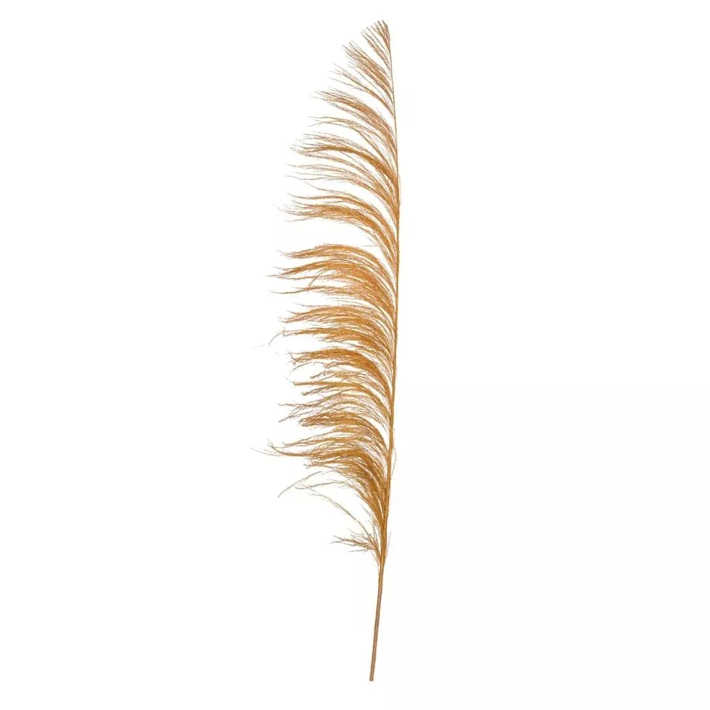 Vickerman 688175-60-72" Aspen Gold Uva Palm Spray 10/Bu (H2Uva725) Dried And Preserved Palms